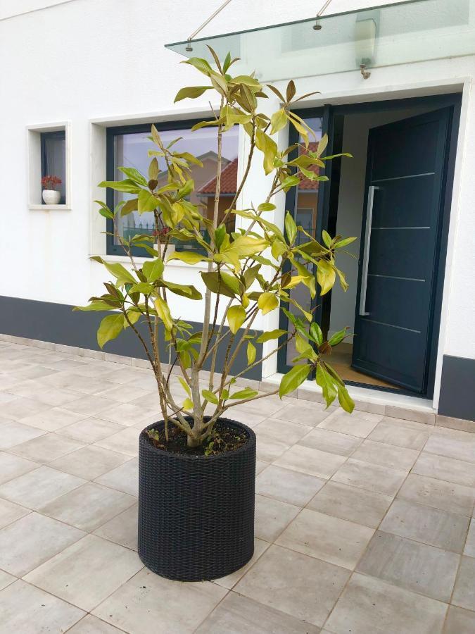 Casa Patio Country House Enxara do Bispo Екстериор снимка