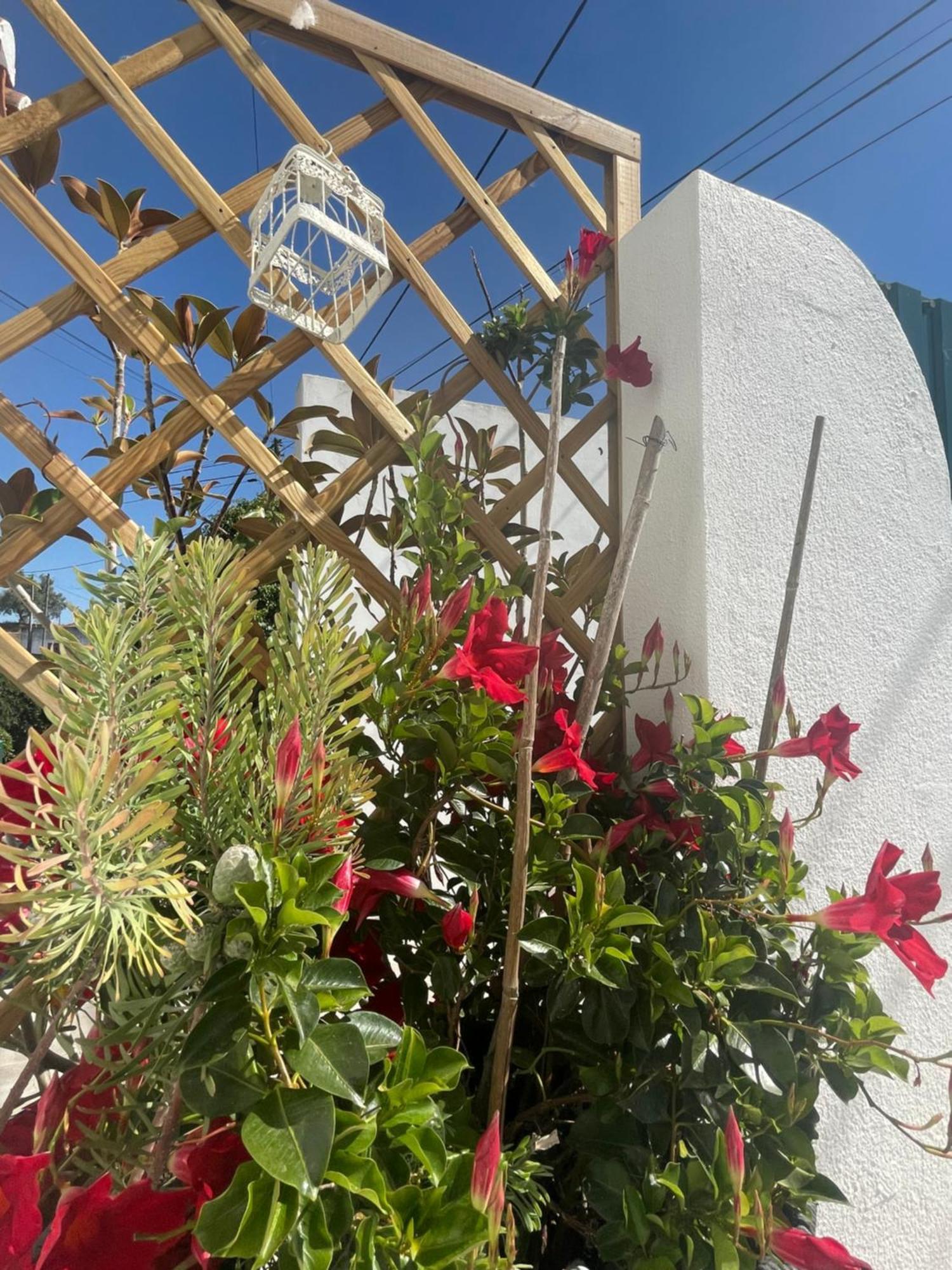 Casa Patio Country House Enxara do Bispo Екстериор снимка